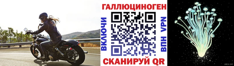 Галлюциногенные грибы прущие грибы  купить наркотики сайты  Бирюсинск 